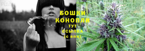 первитин Инсар